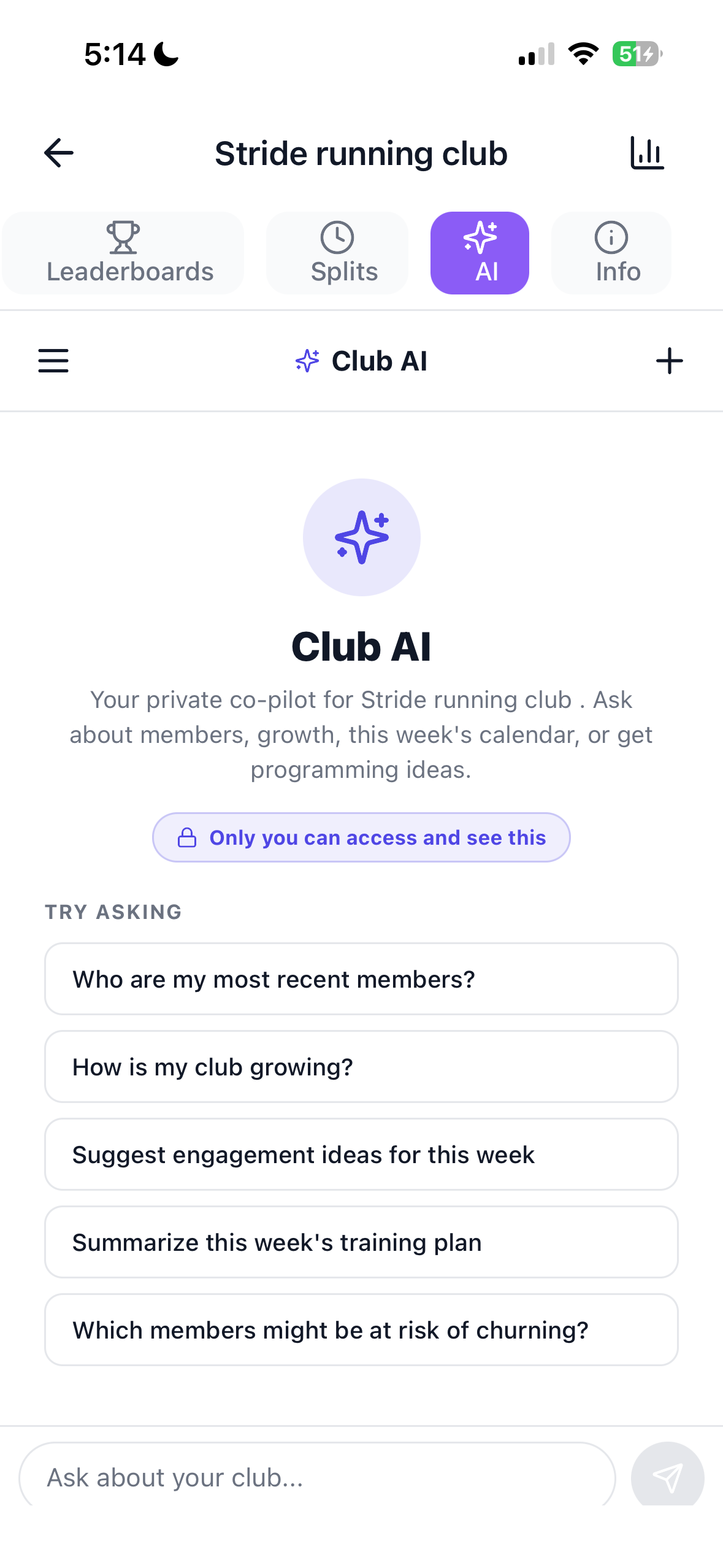 Stride Club AI, a private co-pilot for coaches